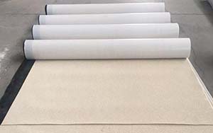 Sheet Waterproofing Protecting the Investment in your Building